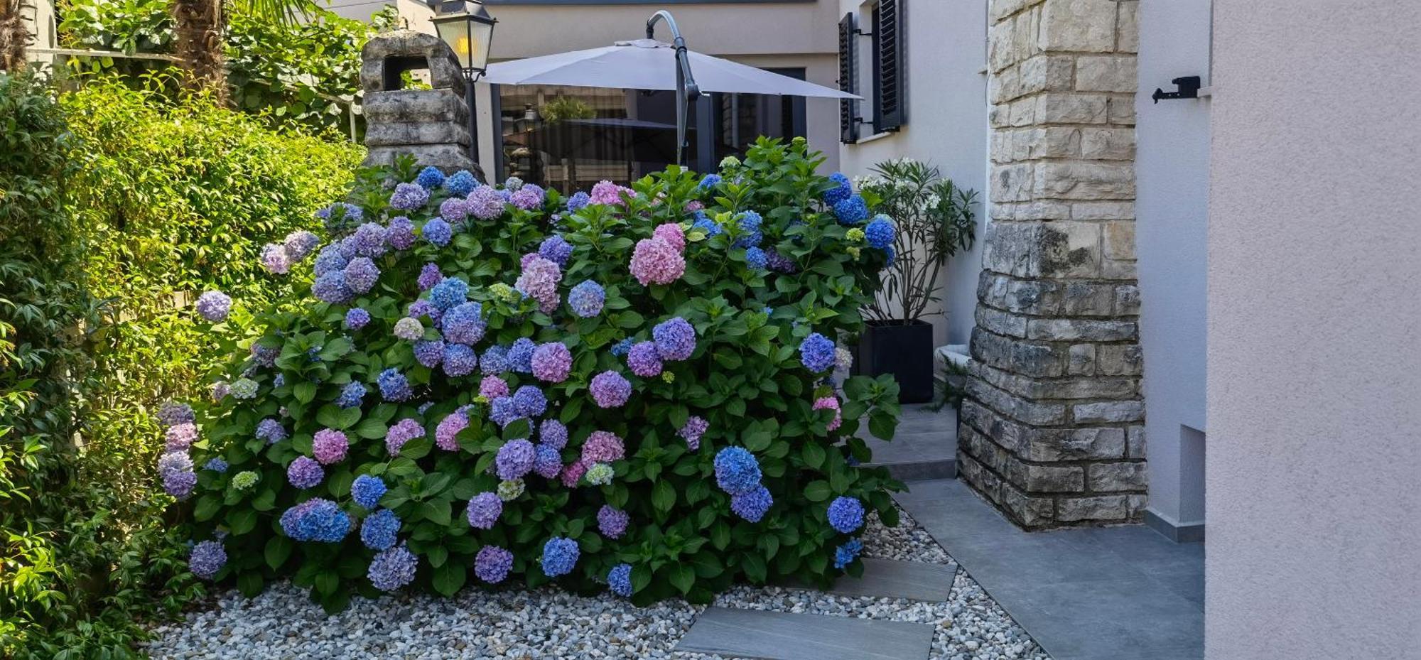 Stay In The Very Heart Of Porec - 50M To The Beach 外观 照片